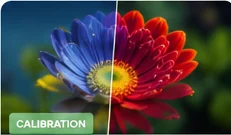 sRGB vs Adobe RGB vs DCI-P3: Color Gamuts Explained Simply